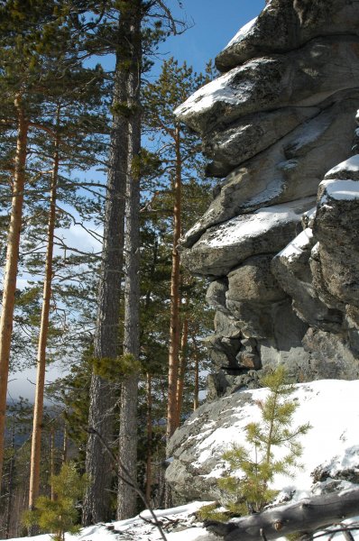 скальник