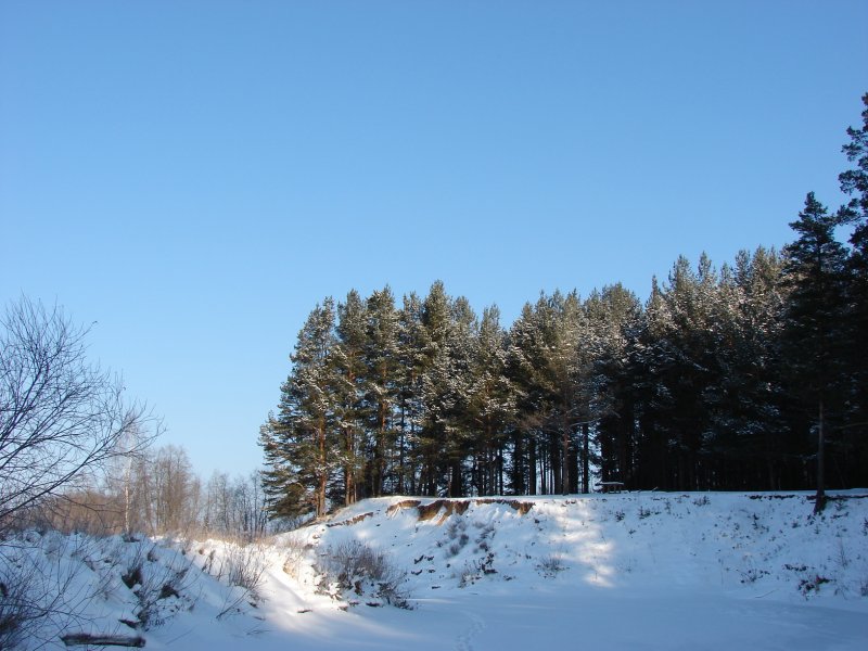 Изборец